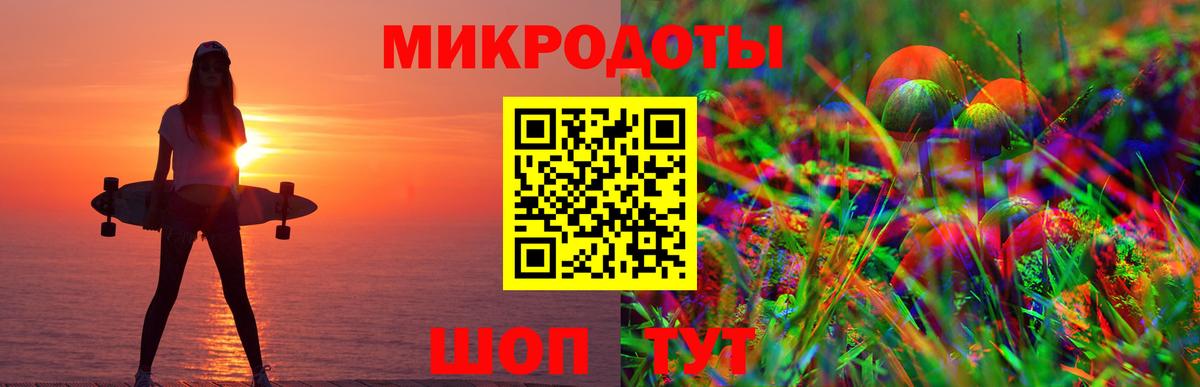 Псилоцибиновые грибы Psilocybe Семёнов