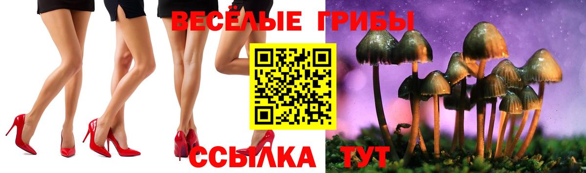 где купить наркоту  Вход с VPN  Семёнов  Псилоцибиновые грибы GOLDEN TEACHER 